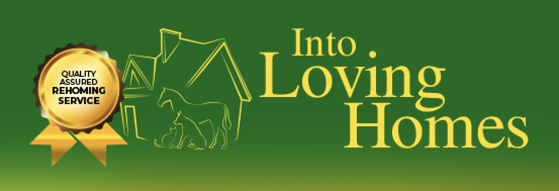 Into Loving Homes