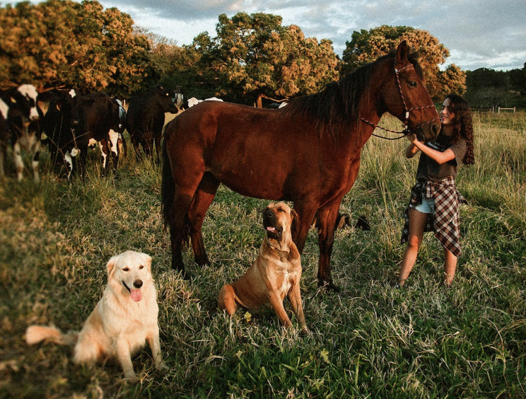 How a 150-Year-Old Idea Inspired a Modern Solution to Rehoming Animals