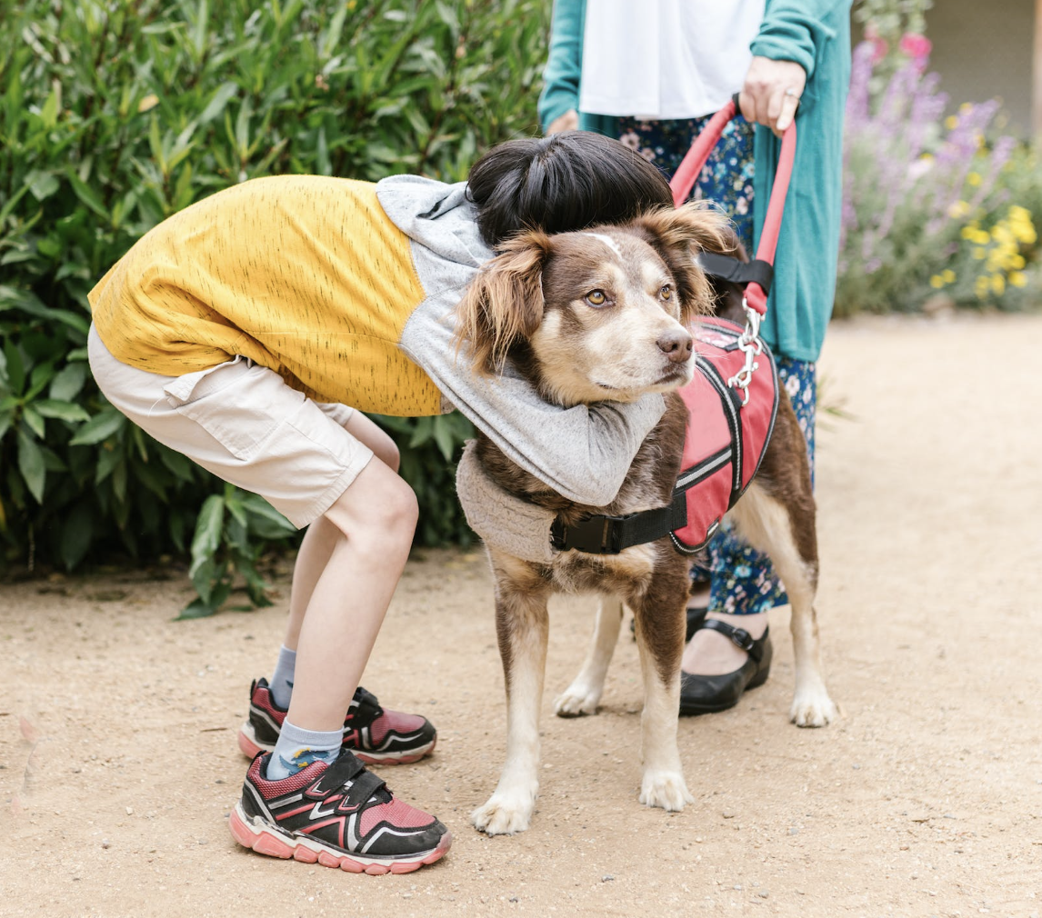 Ensuring Equal Treatment: Making Australia Accessible for All