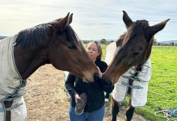 Into Loving Homes Partners with Vets to Find Forever Homes for Animals in Need: Australia Wide