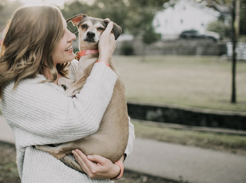 Recognising Animal Emotions and the Mission of Into Loving Homes