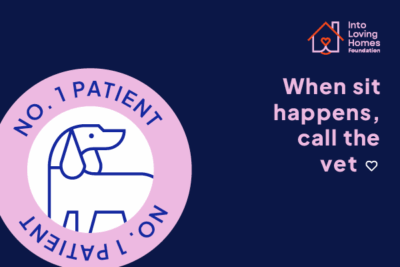 Contribute to Vet Bills