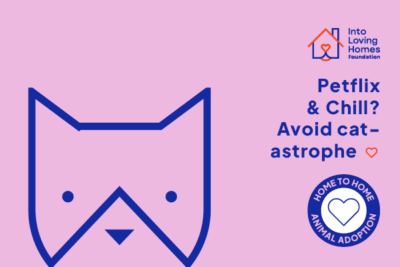 Pay For a Cat to Be Desexed