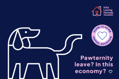 Pay For a Dog to Be Desexed