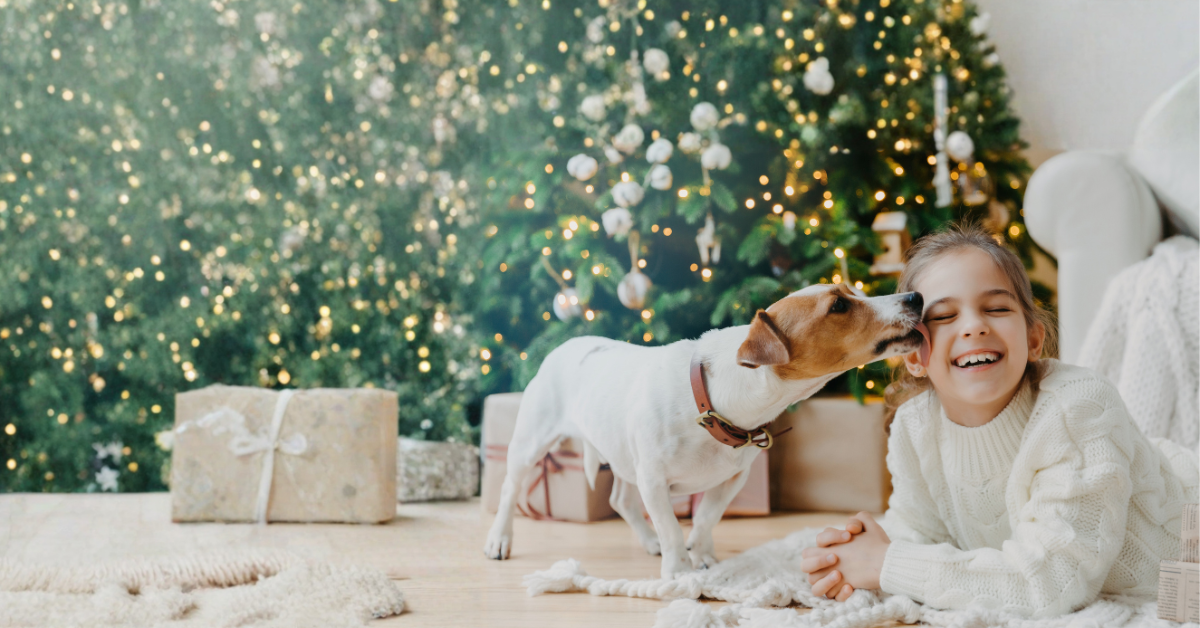 Think Before You Gift a Pet This Christmas