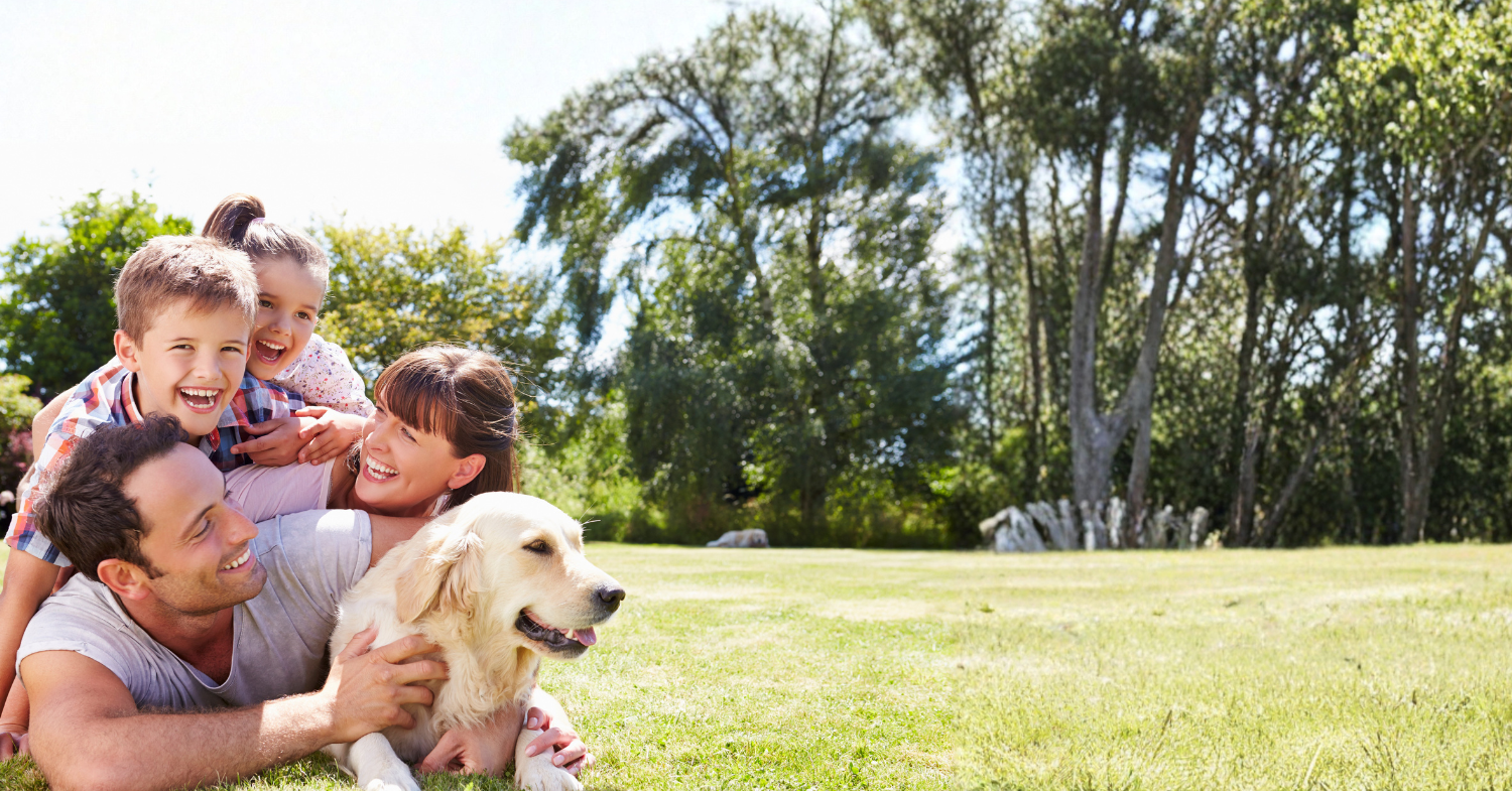 Our Mission: Matching Pets to Their Perfect Homes