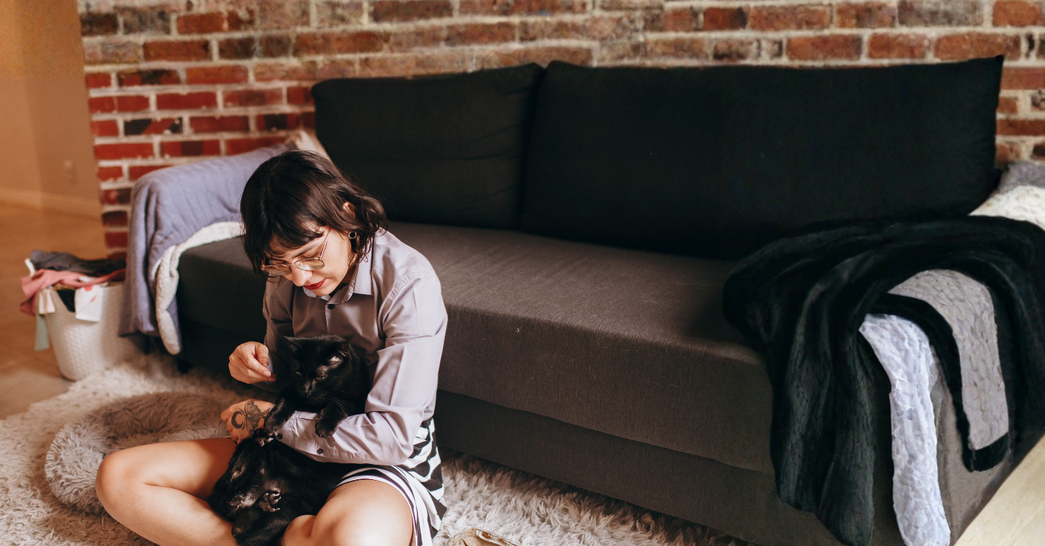 How to List a Pet For Adoption